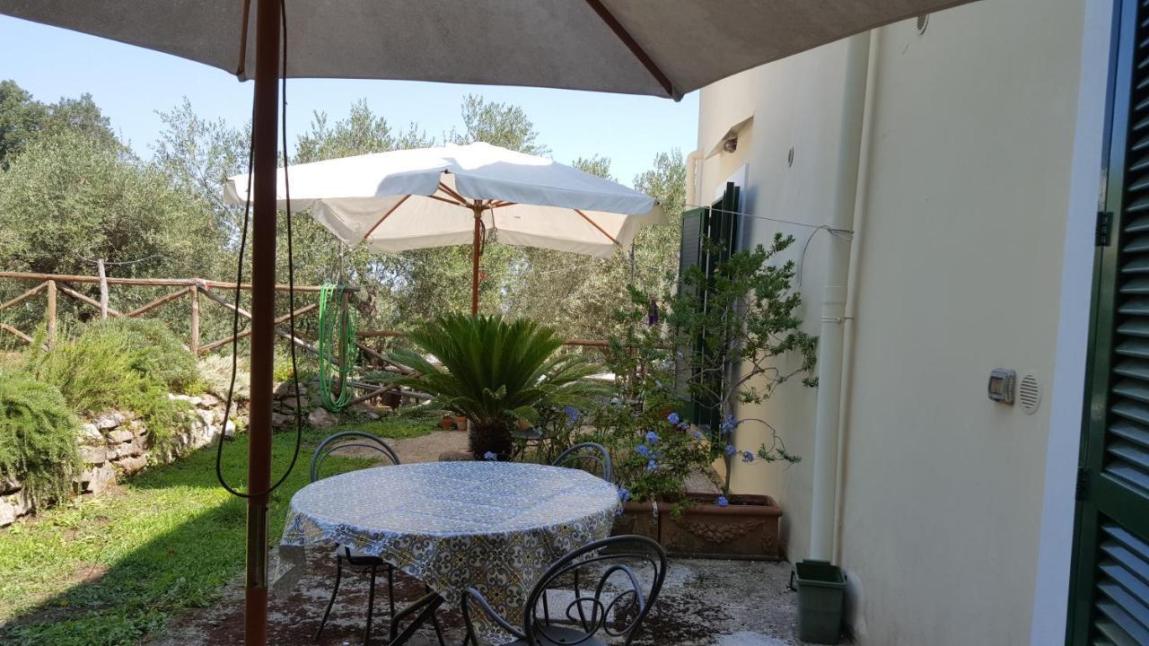 Gli Ulivi Agriturismo Sant'Agnello Luaran gambar
