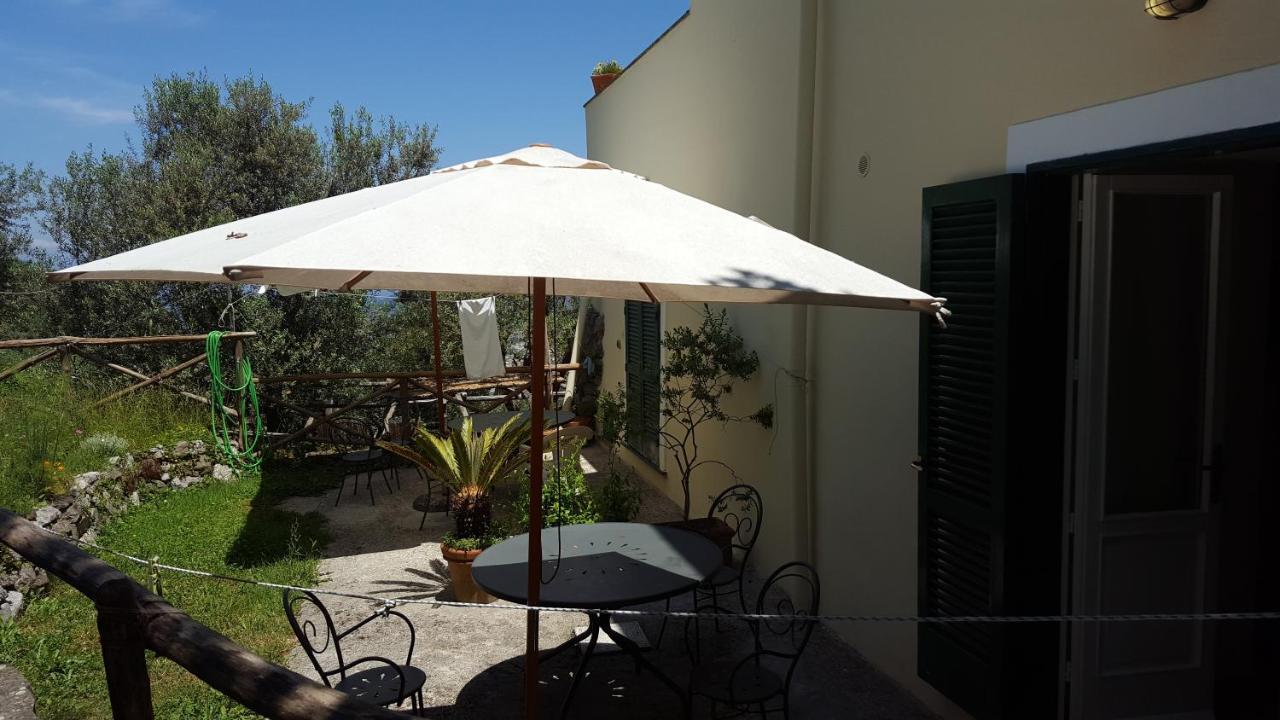 Gli Ulivi Agriturismo Sant'Agnello Luaran gambar