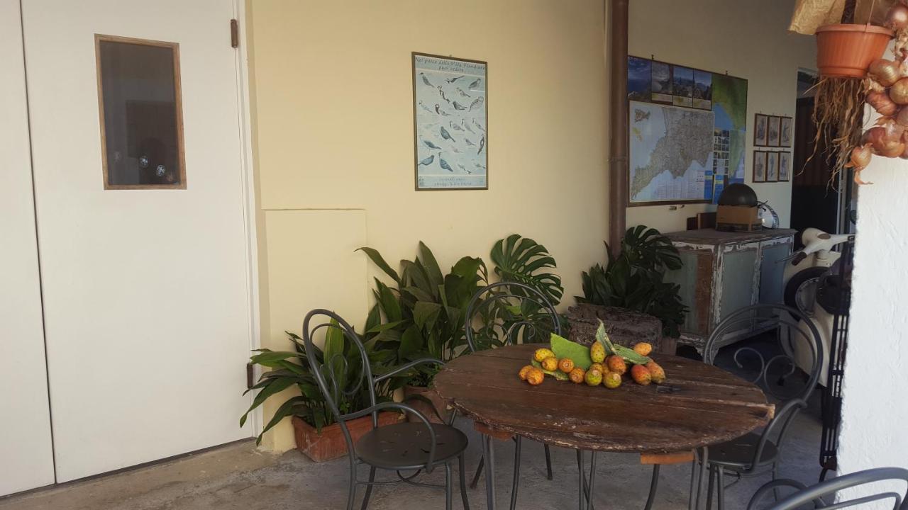 Gli Ulivi Agriturismo Sant'Agnello Luaran gambar