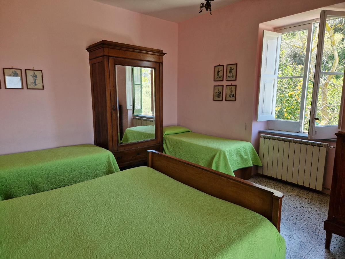 Gli Ulivi Agriturismo Sant'Agnello Luaran gambar