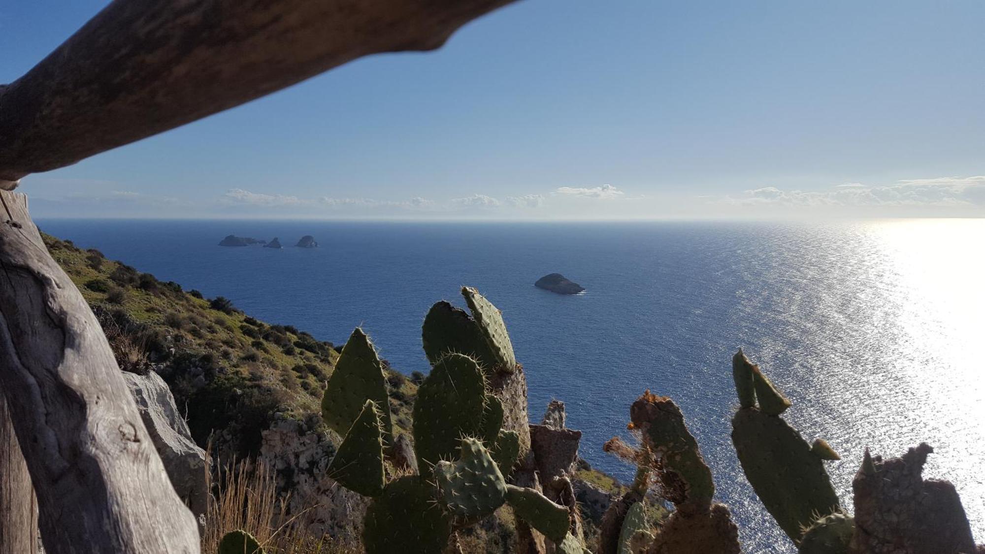 Gli Ulivi Agriturismo Sant'Agnello Luaran gambar