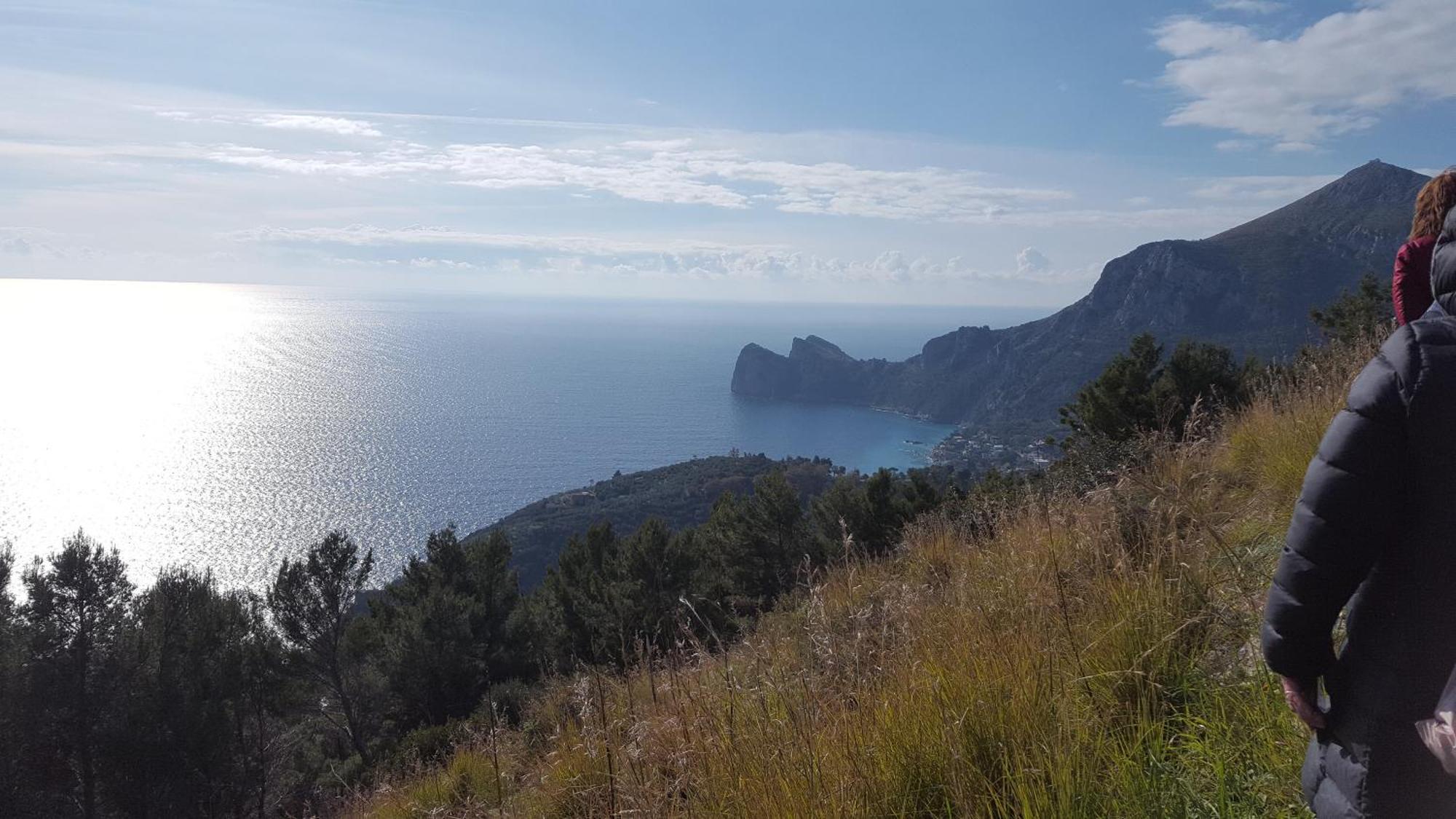 Gli Ulivi Agriturismo Sant'Agnello Luaran gambar