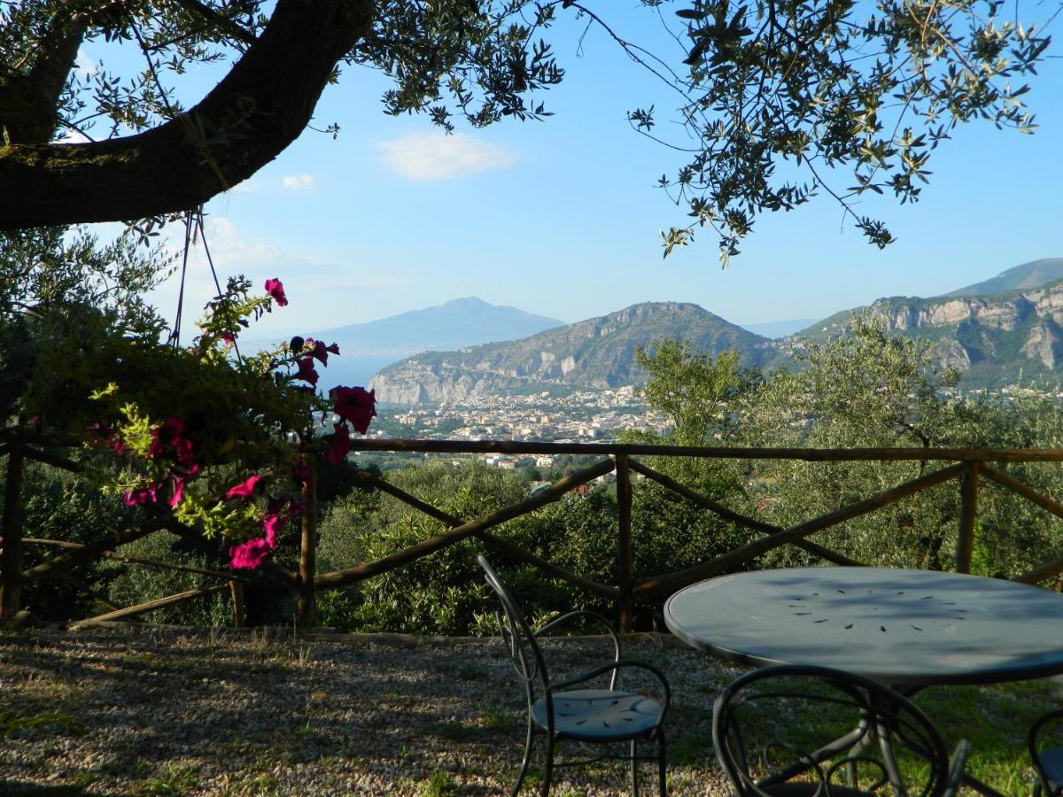 Gli Ulivi Agriturismo Sant'Agnello Luaran gambar