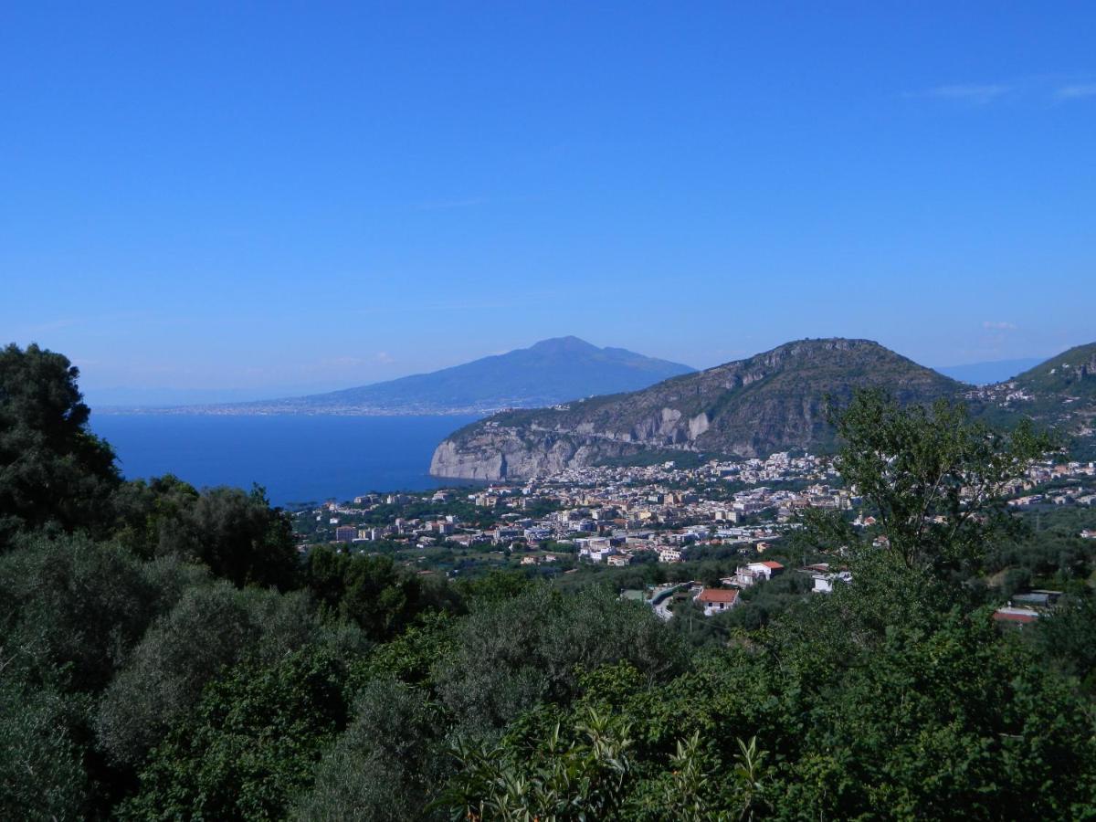 Gli Ulivi Agriturismo Sant'Agnello Luaran gambar