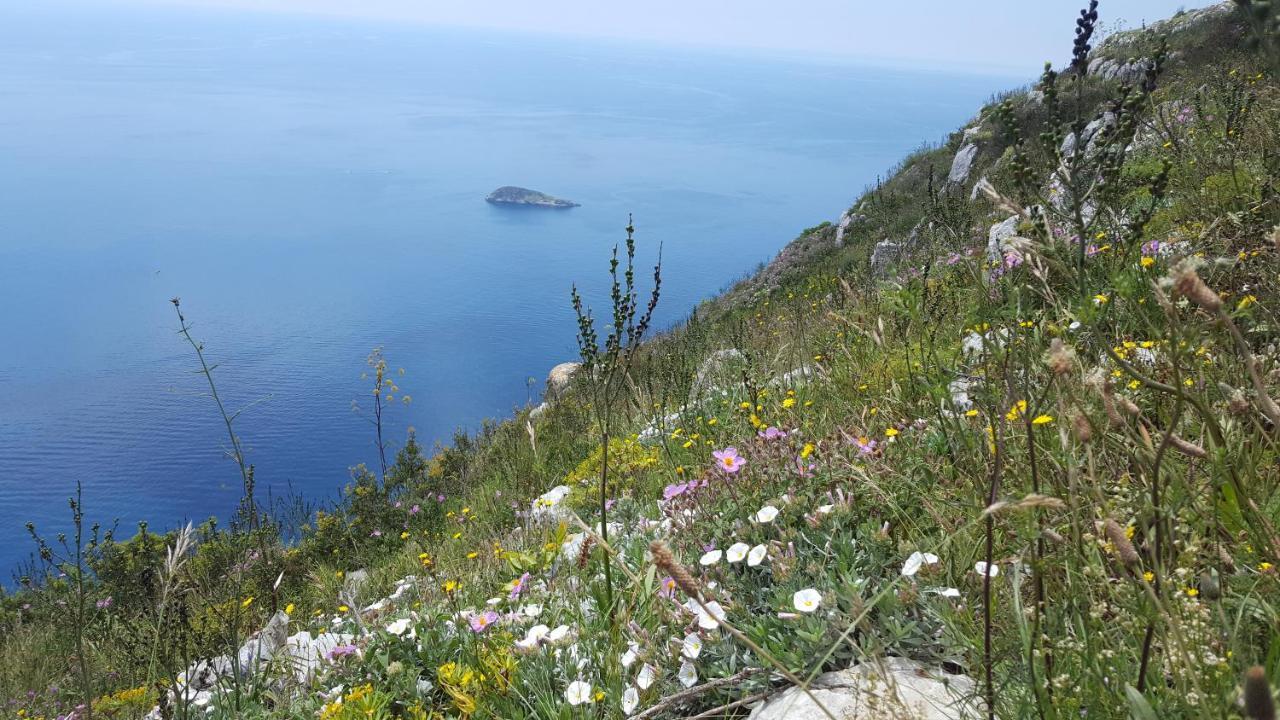 Gli Ulivi Agriturismo Sant'Agnello Luaran gambar